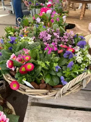 Maak je klaar voor het voorjaar bij TuinWereld Dordrecht