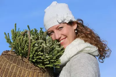 Tuinplant van de maand januari: Heideplant