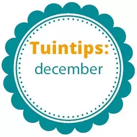 Wat te doen in de tuin in december?