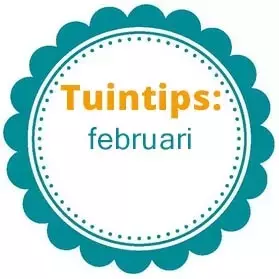 Wat te doen in de tuin in februari?