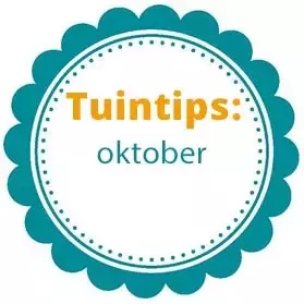 Wat te doen in de tuin in oktober?